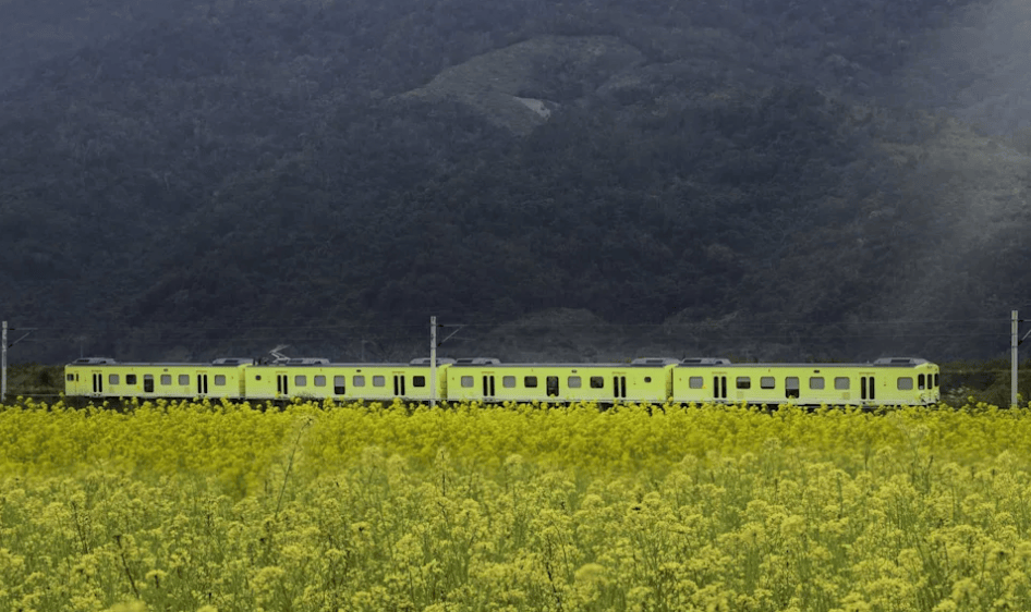 驶路线、行驶时间、订票方式、车厢特色一次看！｜【旅游攻略】凯发k8一触即发台铁、阿里山林铁观光列车总整理 8大列车行(图7)