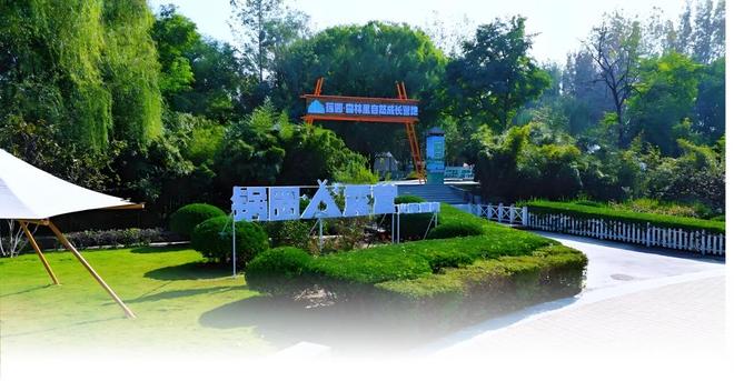 背后两大新动作解锁增长新路径凯发K8国际版锅圈业绩狂飙(图5)